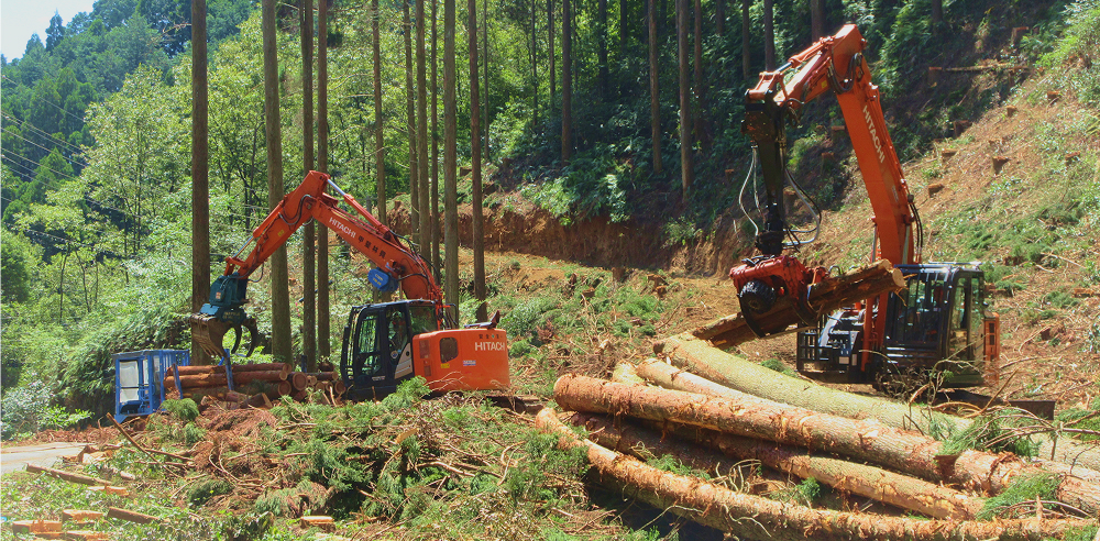 森の再生と地域貢献