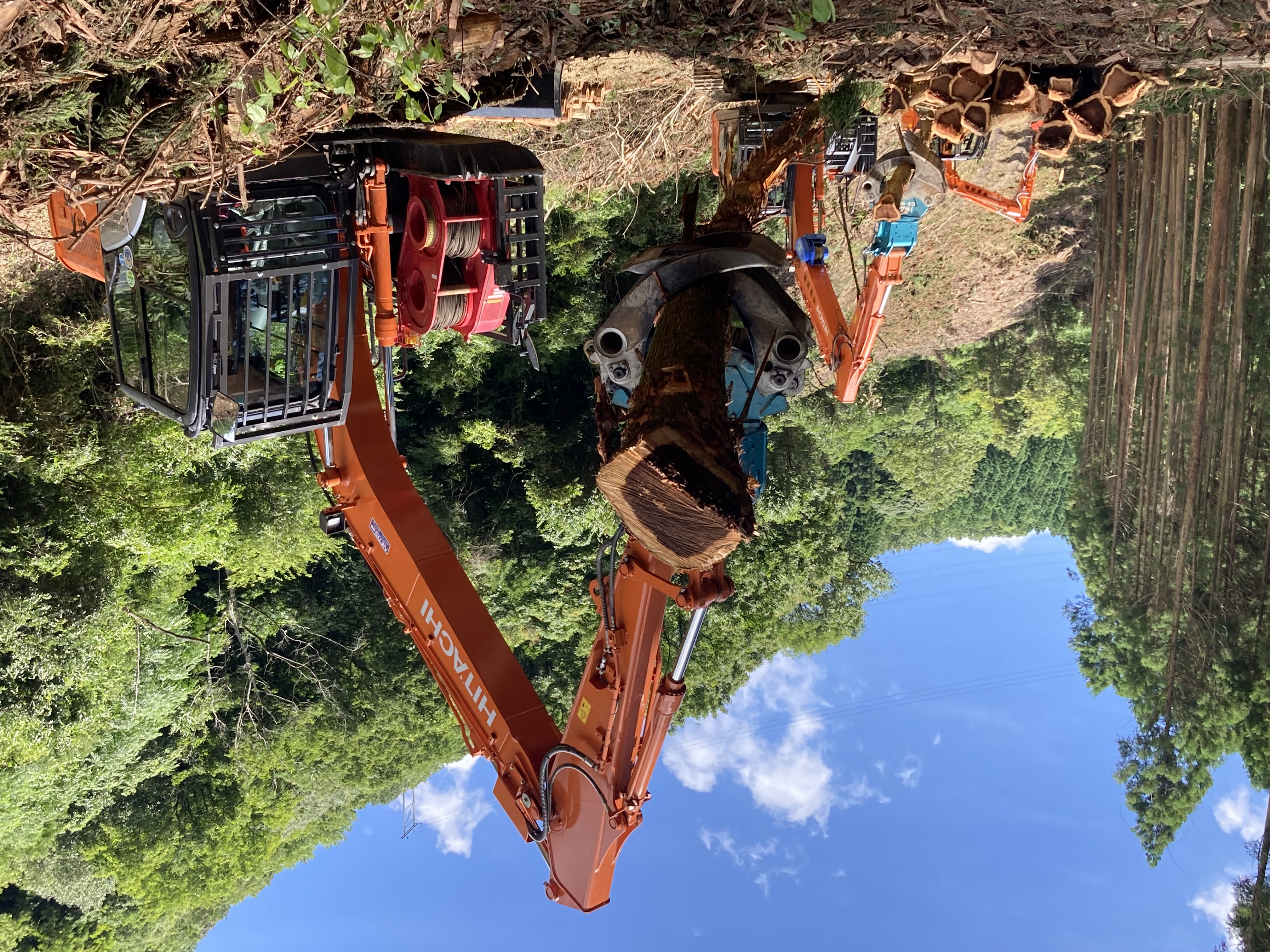 甲斐林興の森林作業風景2