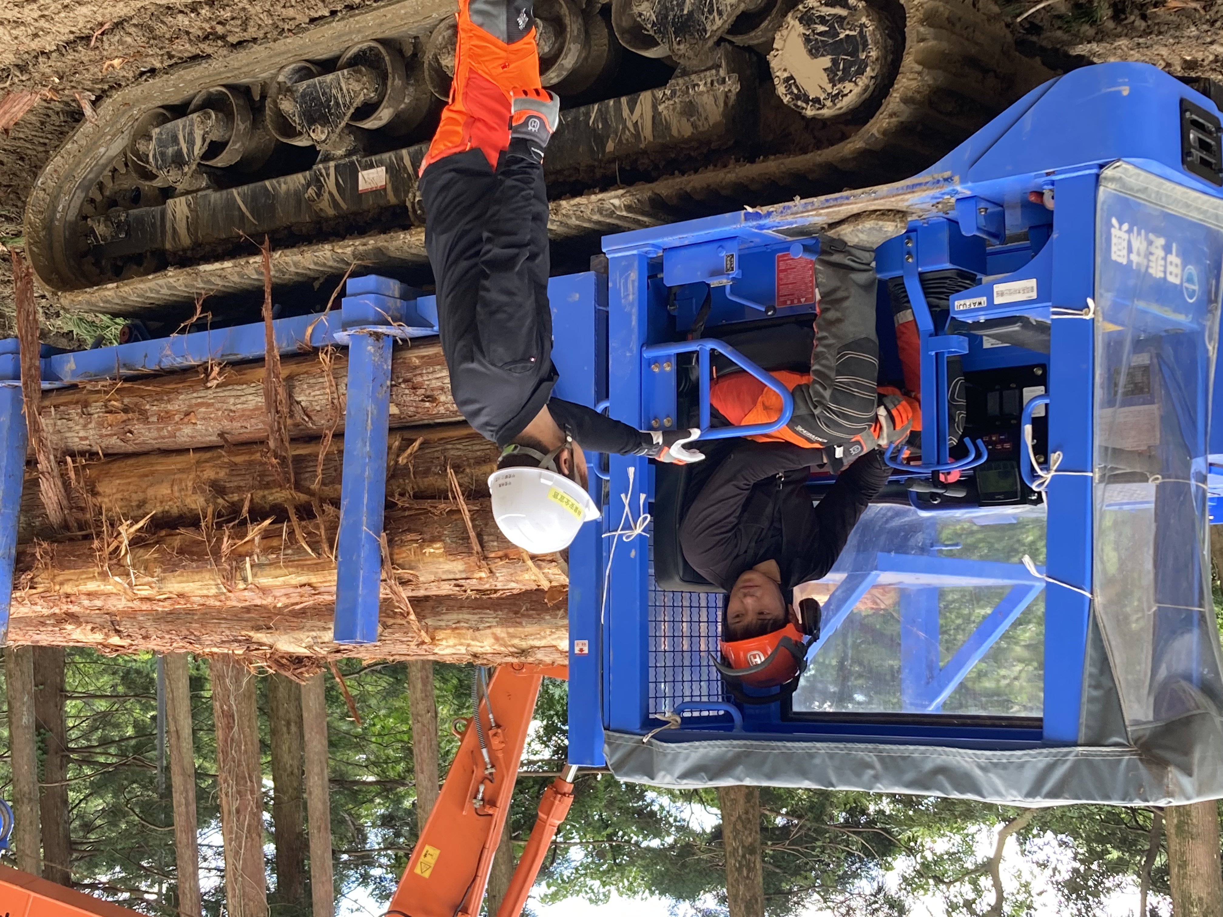 甲斐林興の森林作業風景3
