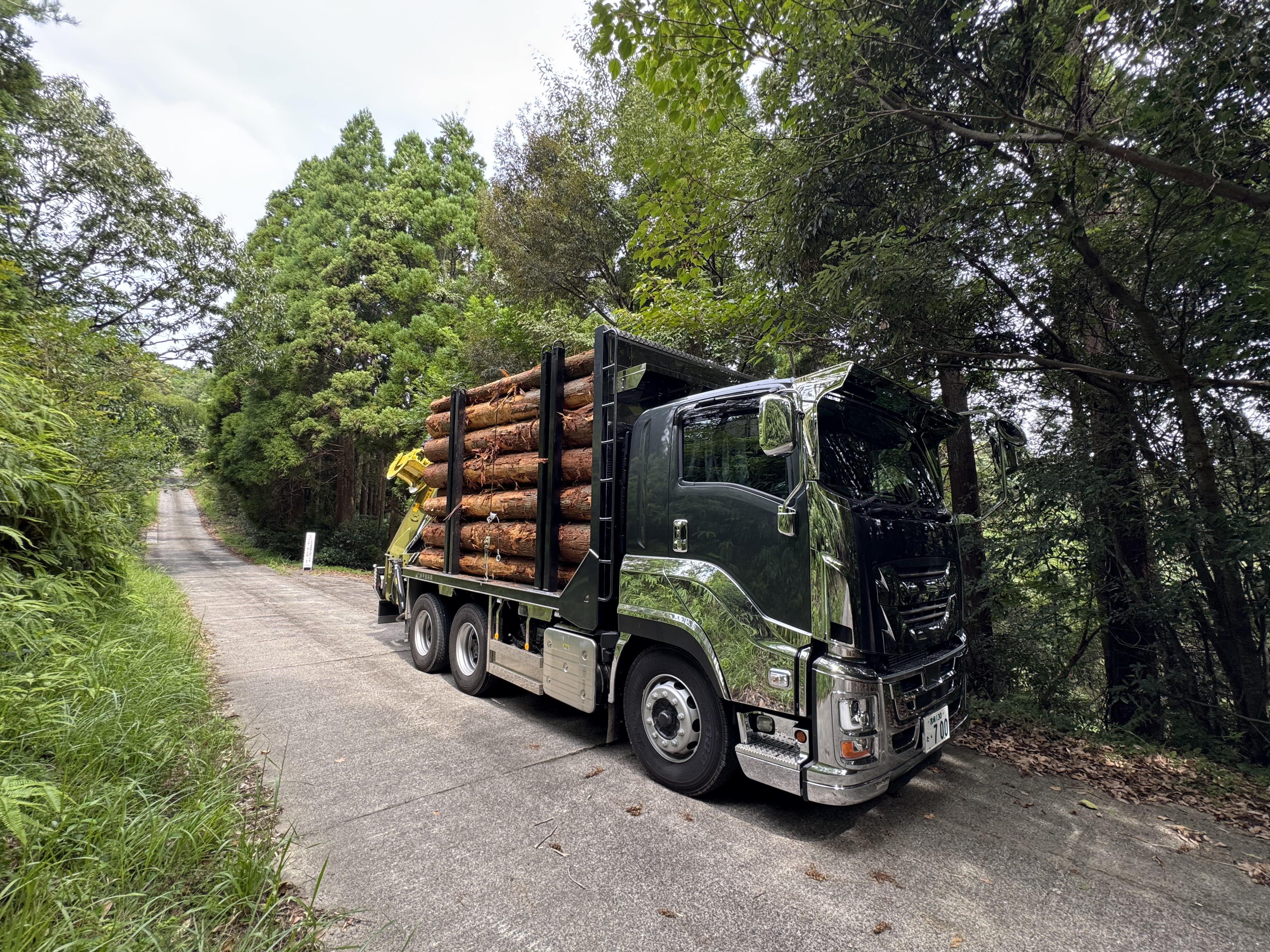 甲斐林興の森林作業風景4