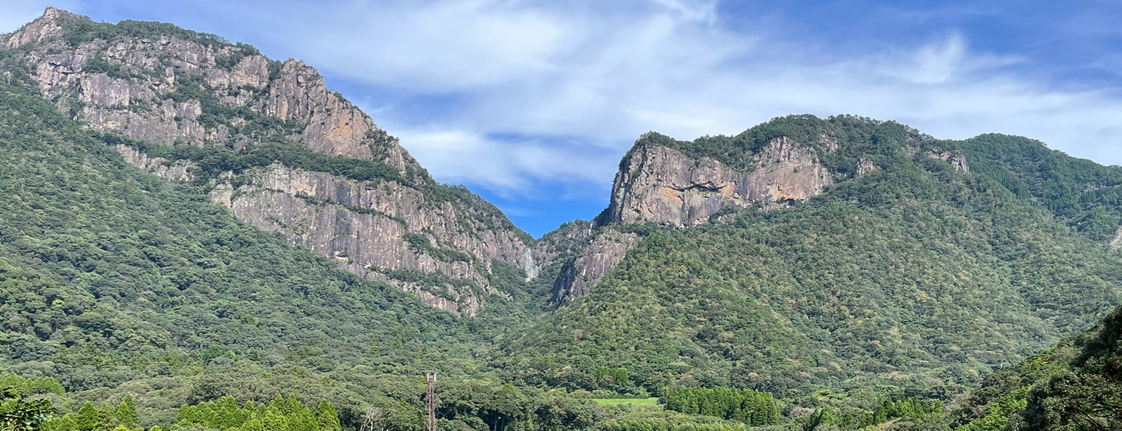 業務内容のヒーロー画像