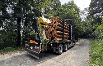 原木出荷の様子