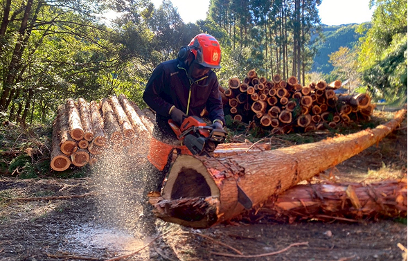 林業の採用案内